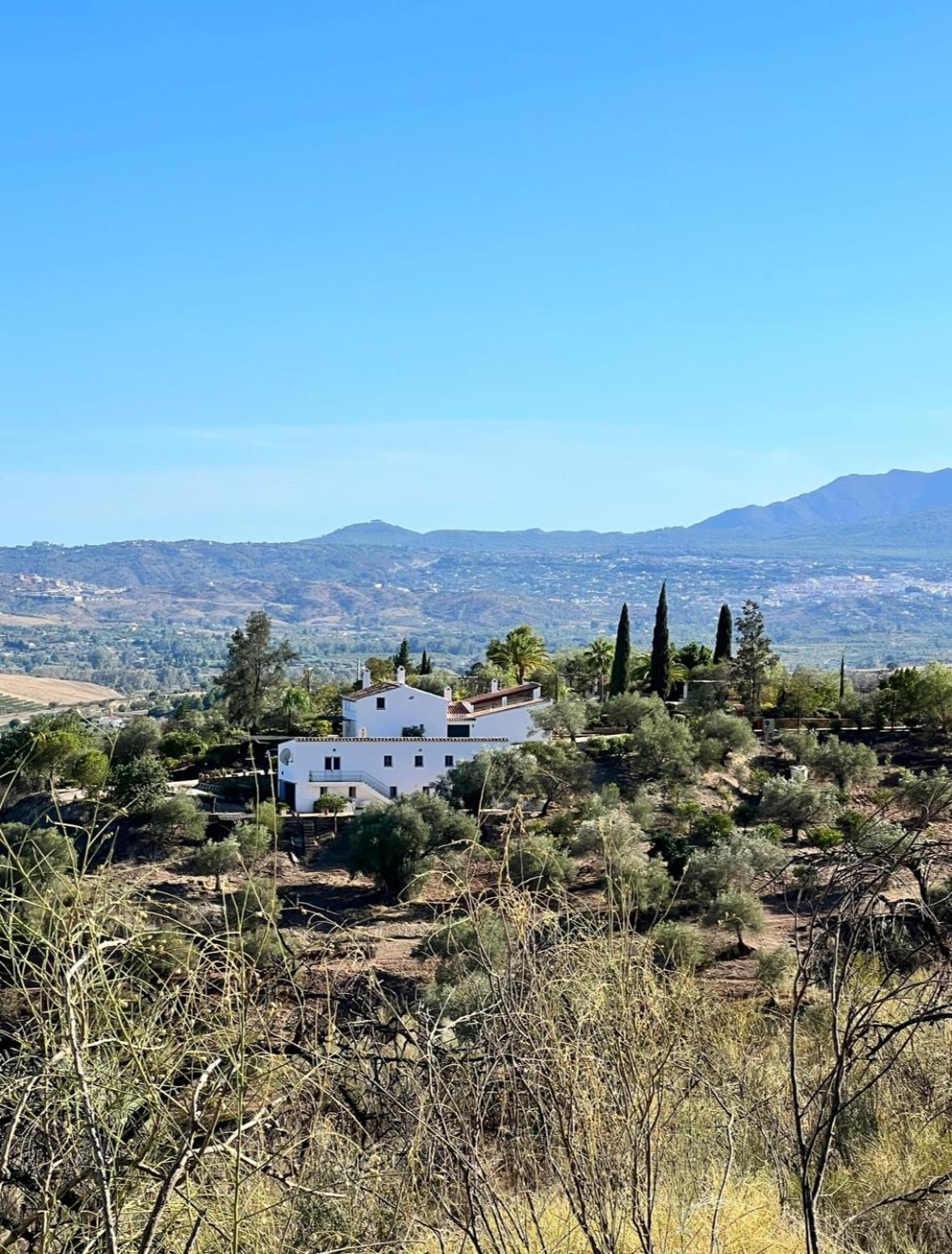 Santa Teresa Bed & Breakfast Andalusien Pizarra Eksteriør billede