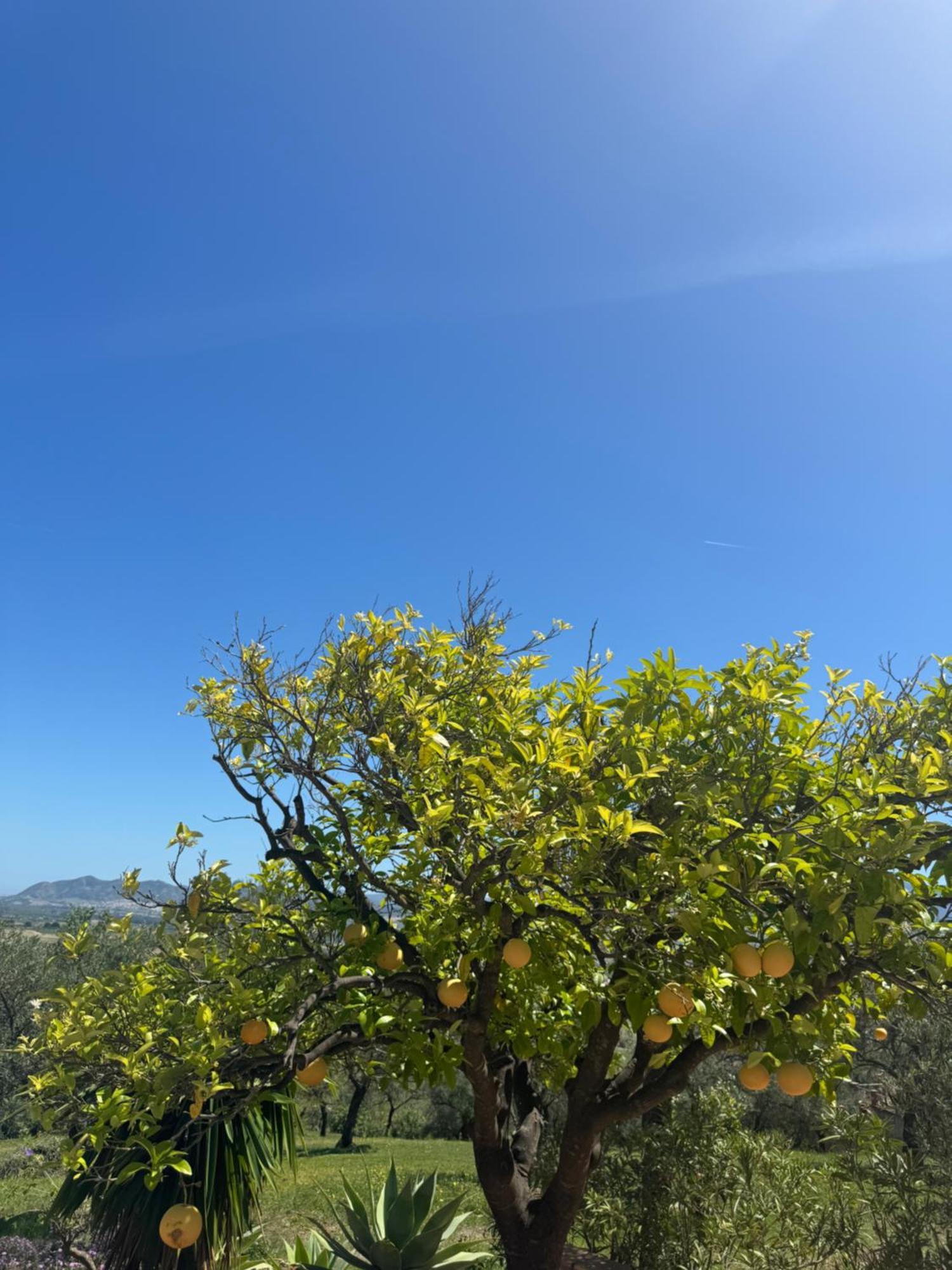 Santa Teresa Bed & Breakfast Andalusien Pizarra Eksteriør billede