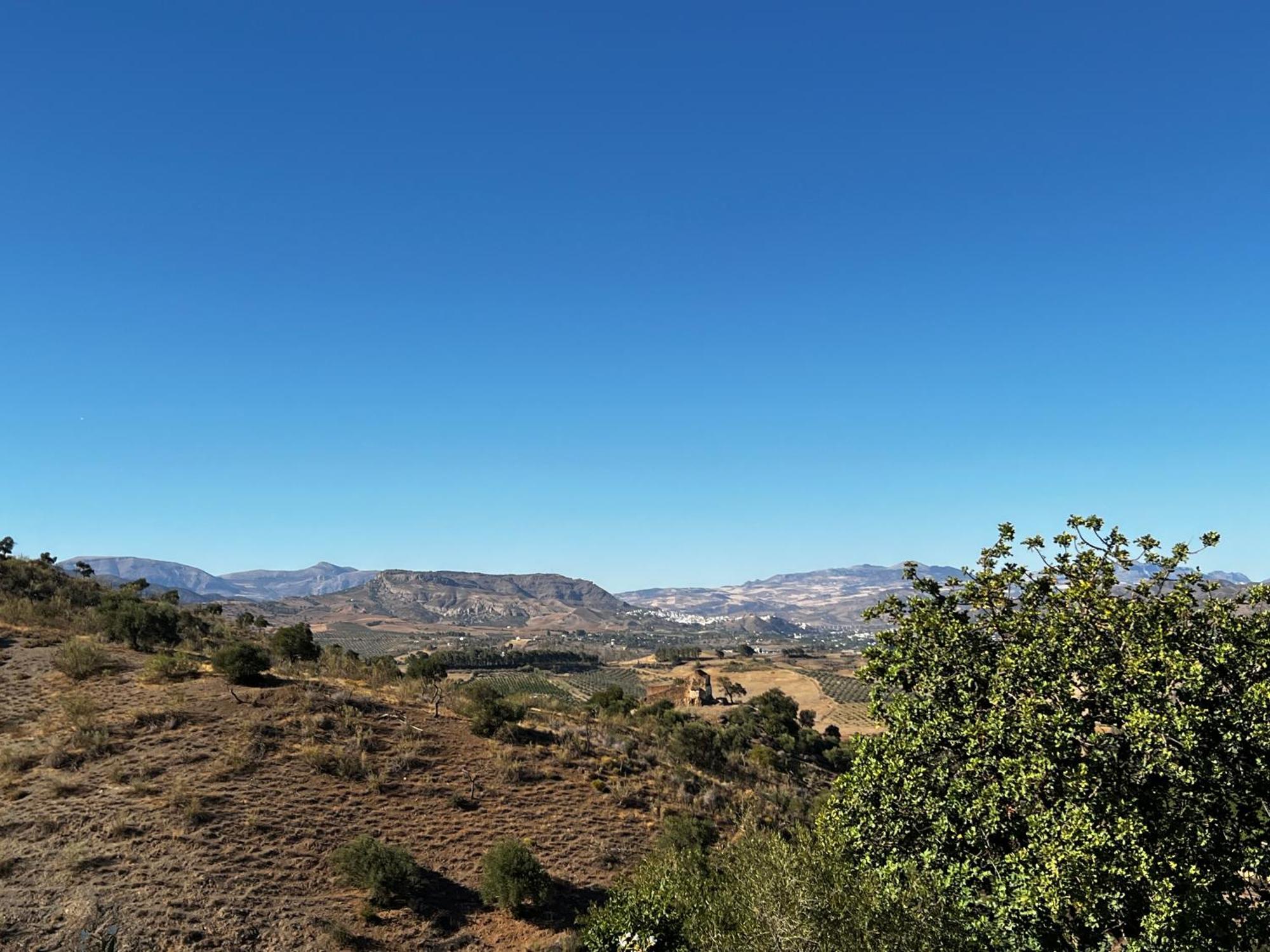 Santa Teresa Bed & Breakfast Andalusien Pizarra Eksteriør billede